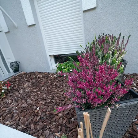 Ema's Oasis House, Your Perfect Getaway, Free Private Parking And Garden Mostar